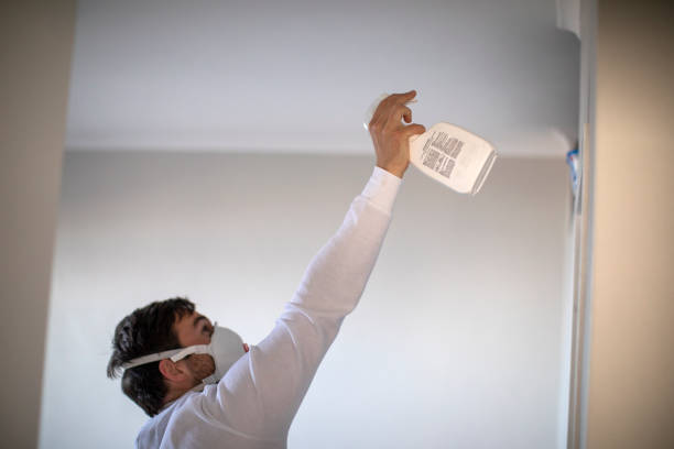 Best Residential Mold Remediation in Athens, OH